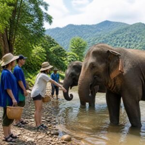 From Bangkok: Living Green Elephant Sanctuary Day Trip