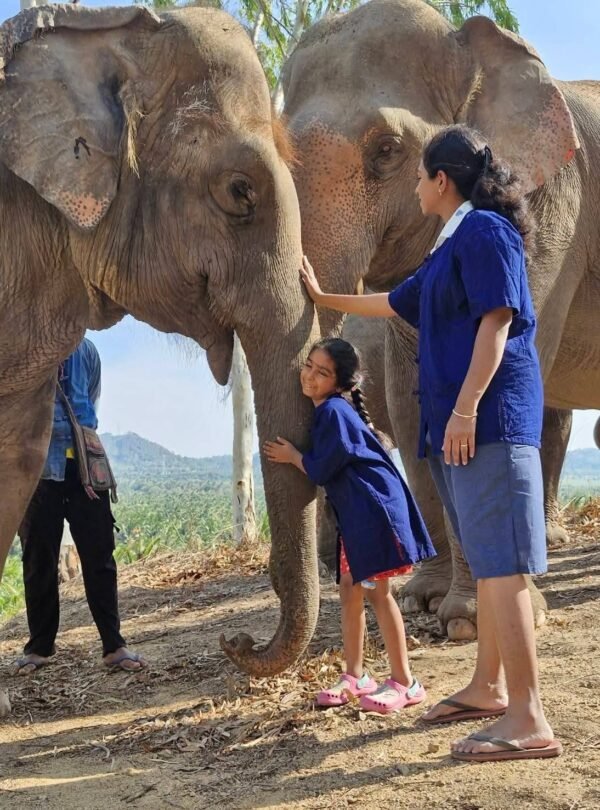 Pattaya Thailand Wonders