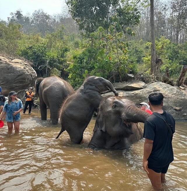 Chiang Mai Thailand Wonders