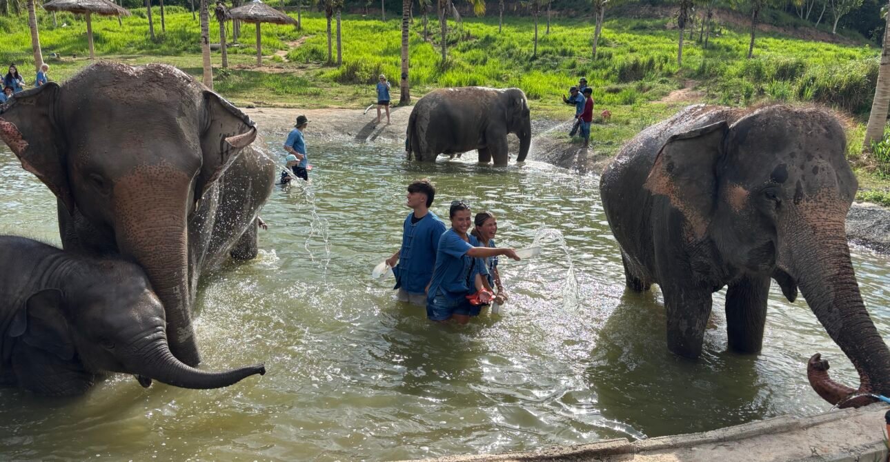 Our Story – A Home for Elephants in Chonburi